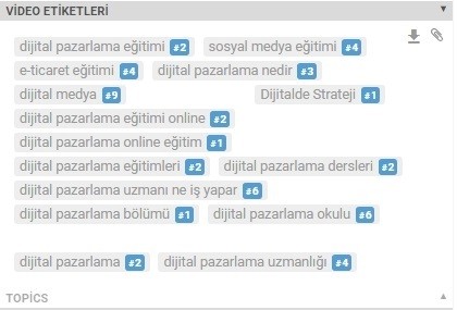 YouTube video etiketleri için VidIQ ile Rakip Analizi