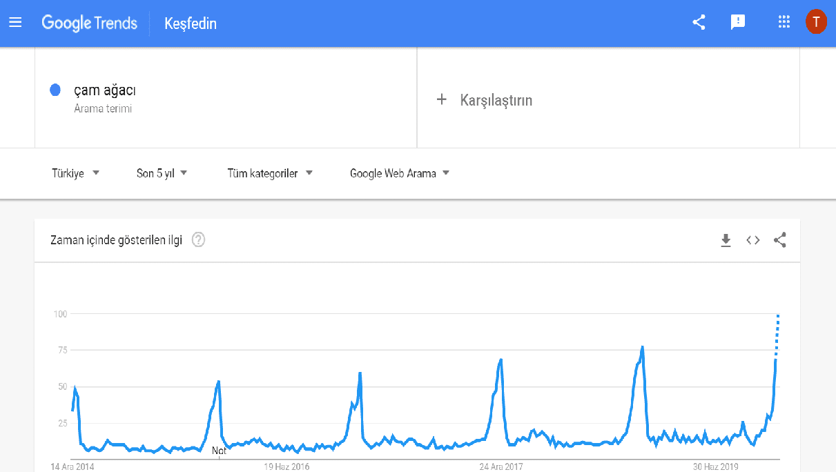 google trends dönemsel