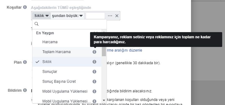 facebook reklam otomatik koşullar