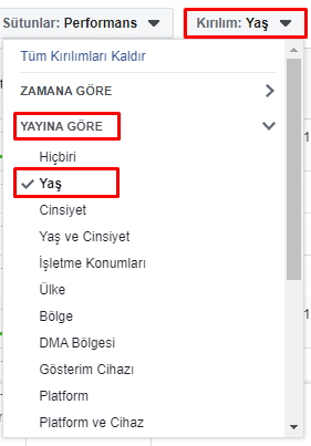 facebook reklam yaş raporu