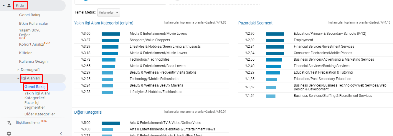 google analytics ilgi alanları