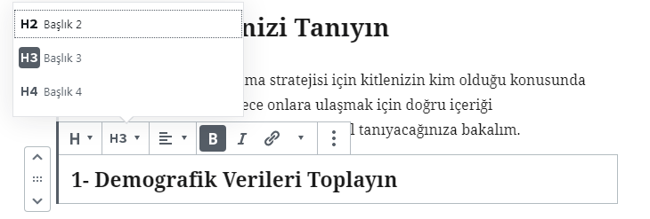 wordpress başlık etiketleri