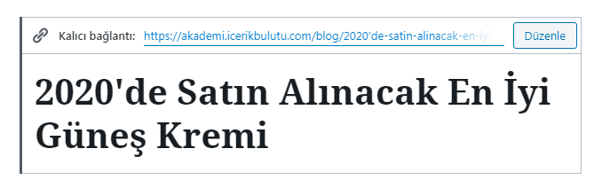 wordpress özel kalıcı bağlantı