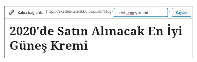 wordpress özel url ayarlama