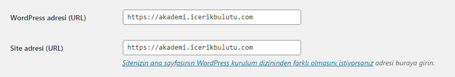 wordpress tercih edilen alan adı