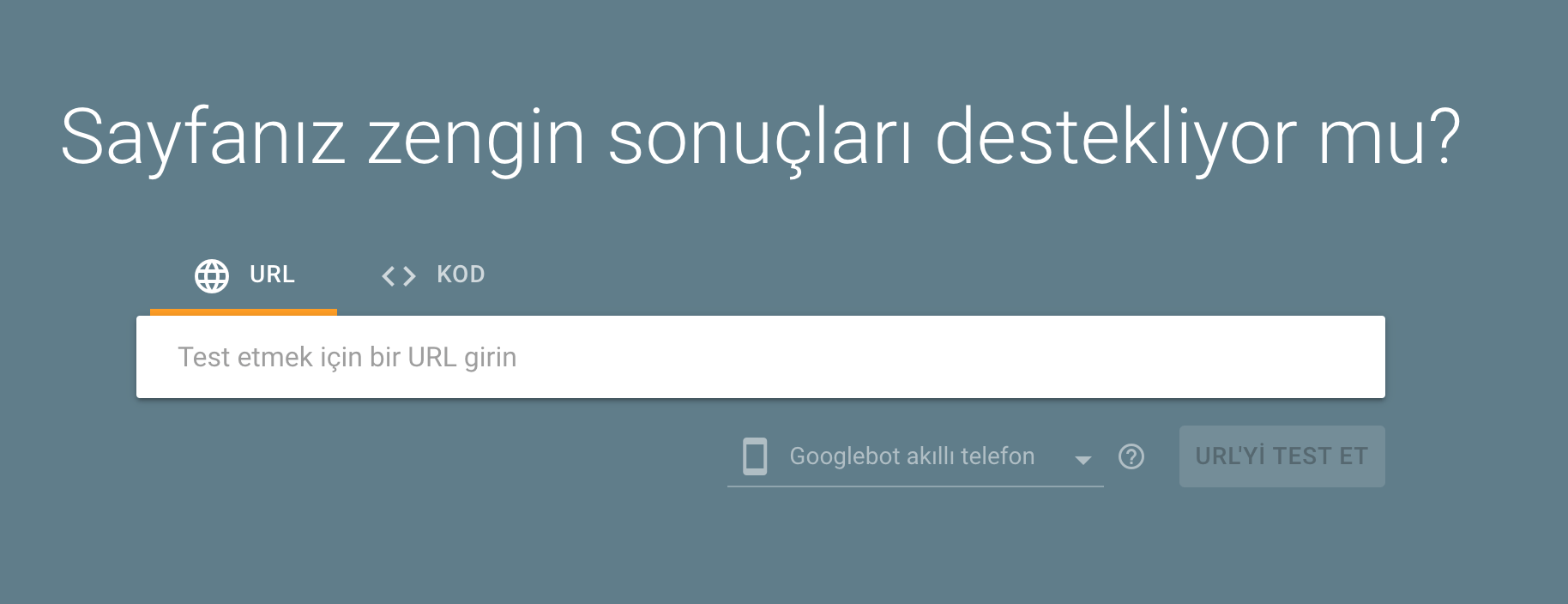 google zengin sonuçlar testi